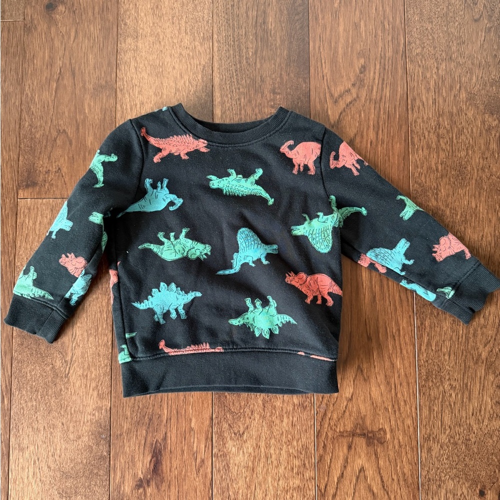 Dinosaur Print Kids Sweatshirt - Black with Multicolor Accents